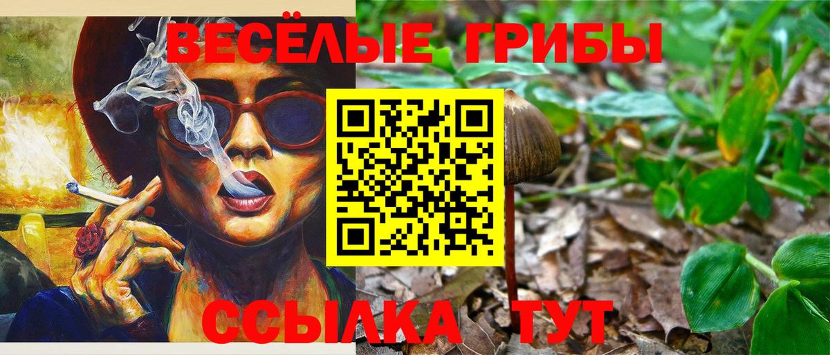 Псилоцибиновые грибы мухоморы Симферополь