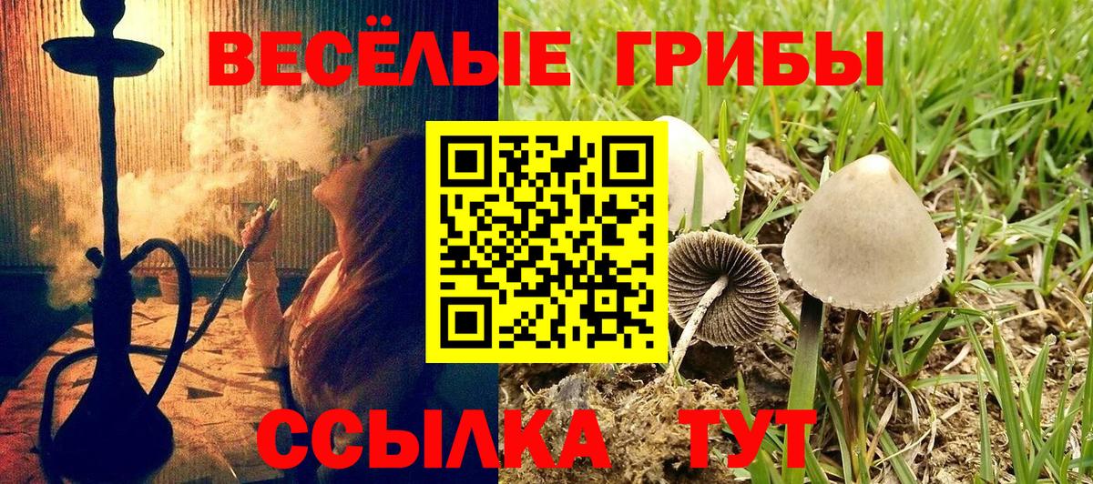 Псилоцибиновые грибы мухоморы  Вход с VPN  Симферополь 